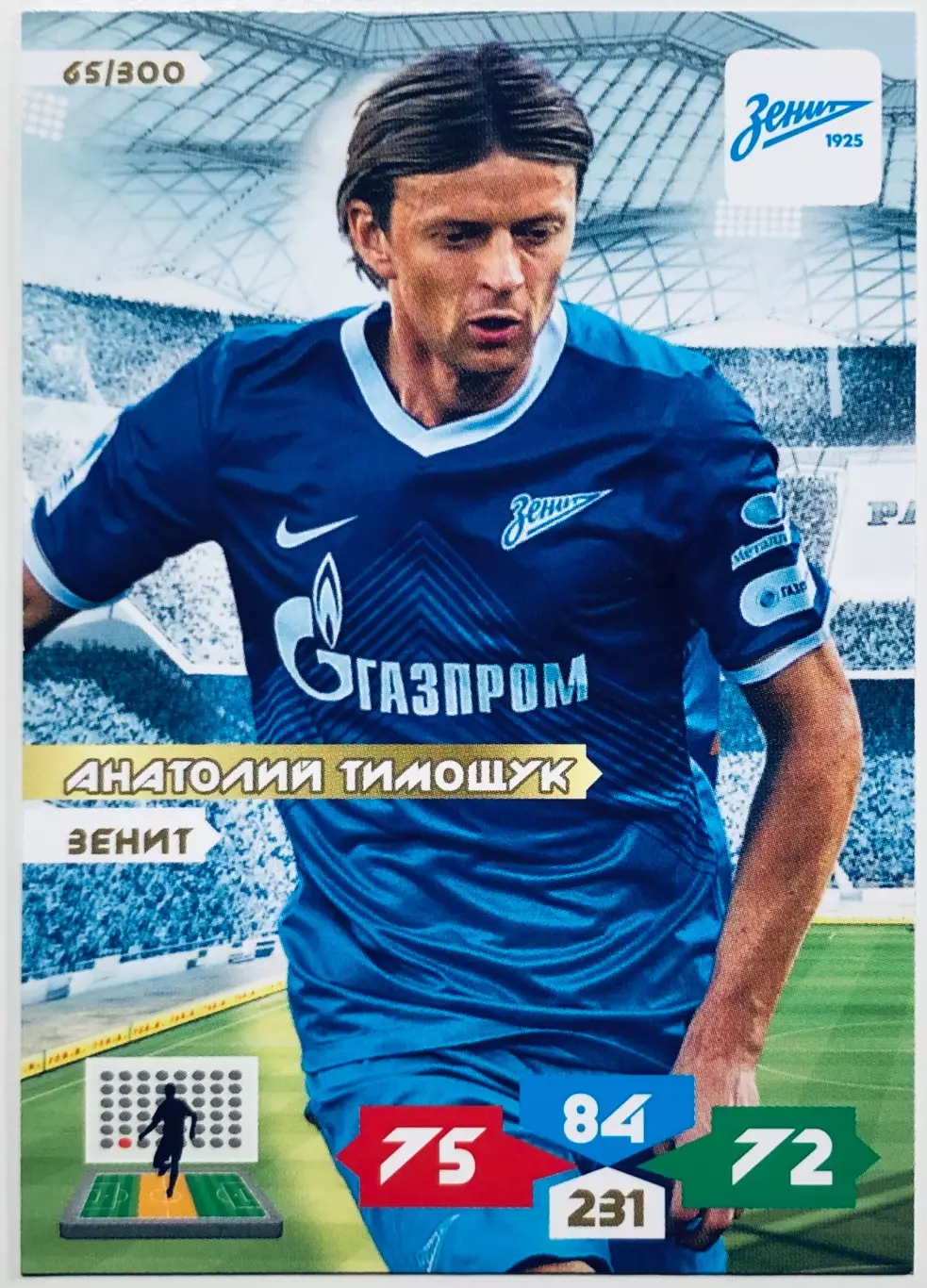 Карточка Анатолий Тимощук ФК Зенит СПб