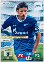 Карточка Анатолий Тимощук ФК Зенит СПб