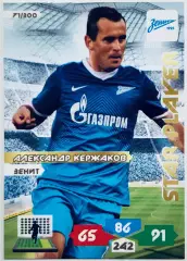 Карточка Александр Кержаков ФК Зенит СПб