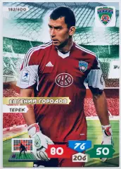 Карточка Евгений Городов ФК Терек