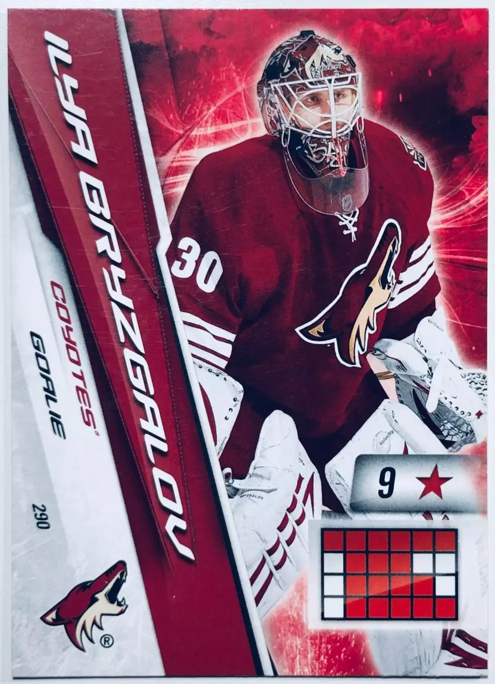 Карточка Ilya Bryzgalov Phoenix Coyotes