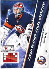 Карточка Dwayne Roloson New York Islanders