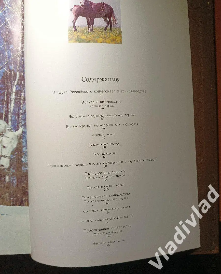 Коневодство России лошади 1