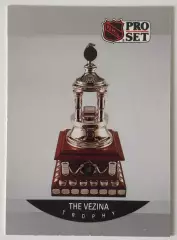 Карточка НХЛ / Vezina Trophy / Patrick Roy / Pro Set