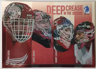Карточка НХЛ / Hasek-Joseph-Legace-Lamothe / Deep In The Crease / DC-8