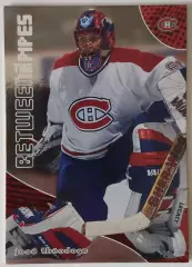 Карточка НХЛ / Jose Theodore / Canadiens / Between The Pipes