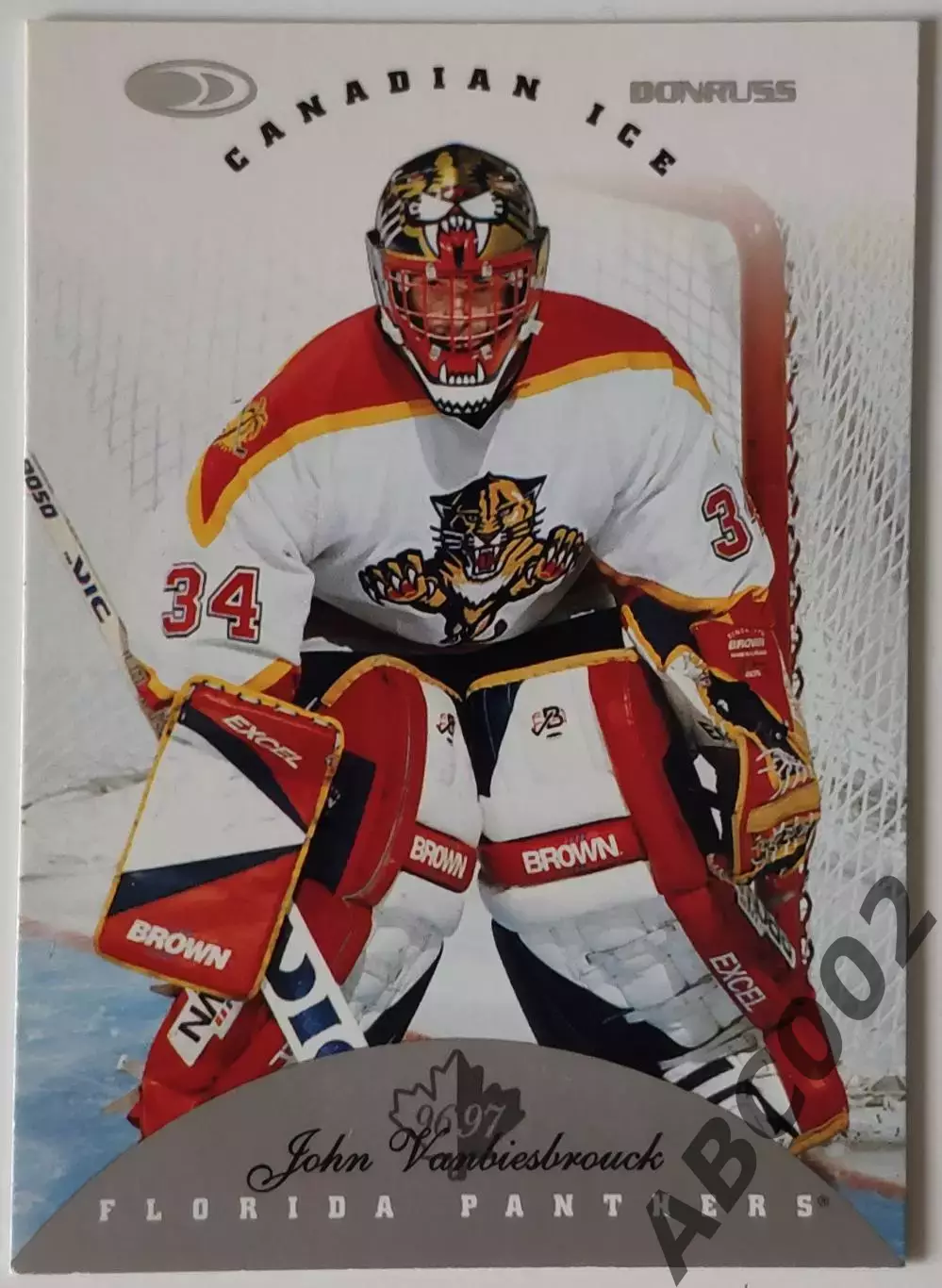Карточка НХЛ / John Vanbiesbrouck / Panthers / Canadian Ice