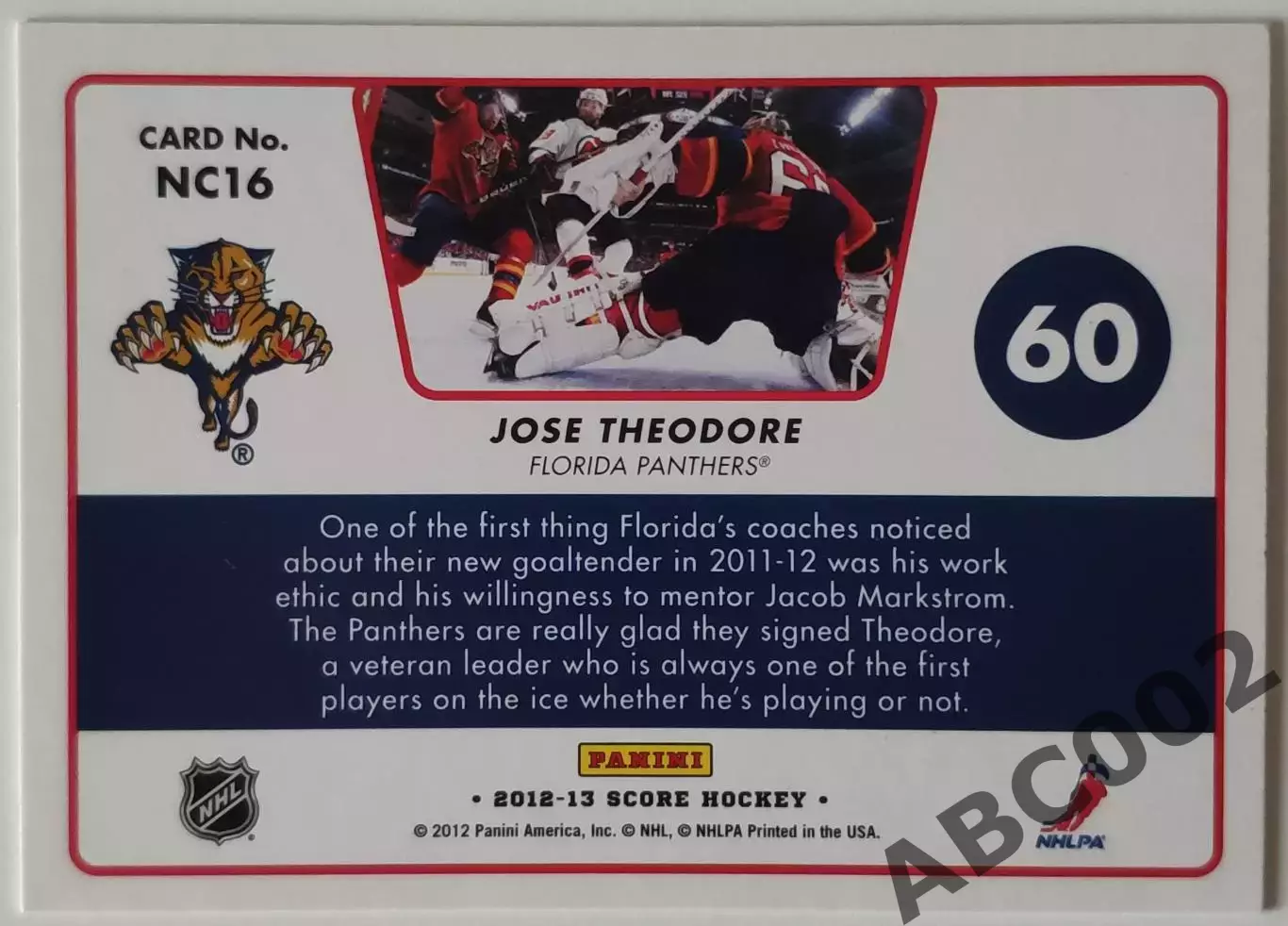Карточка НХЛ / Jose Theodore / Panthers / Score Net Cam 1