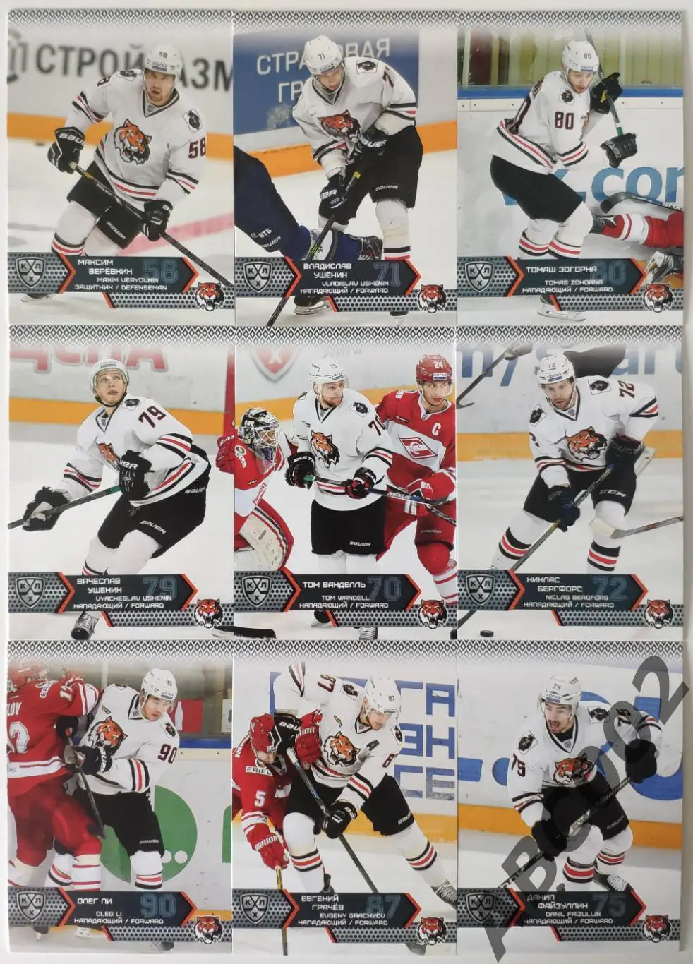 Полный сет ХК Амур КХЛ 18 карт 2