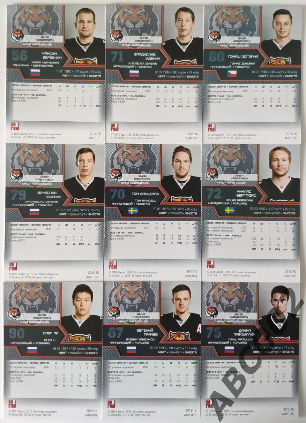 Полный сет ХК Амур КХЛ 18 карт 3