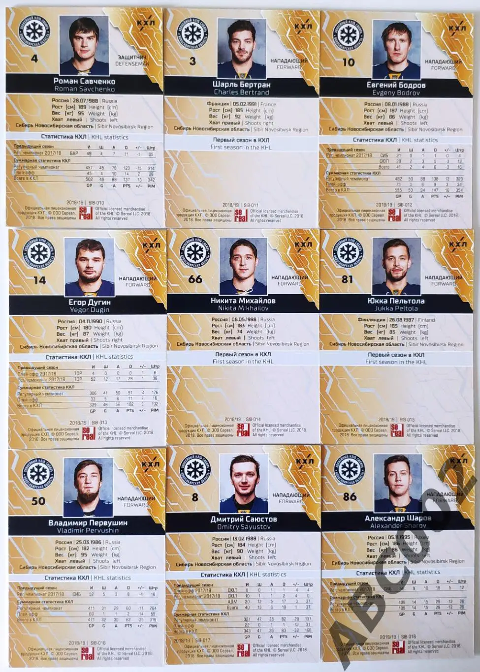 Полный сет ХК Сибирь КХЛ 2018-19 18 карт 3