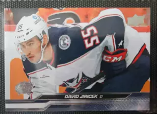 David jiricek (давид иржичек)