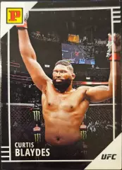 Curtis Blaydes ufc