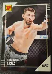 Dominick cruz ufc доминик круз