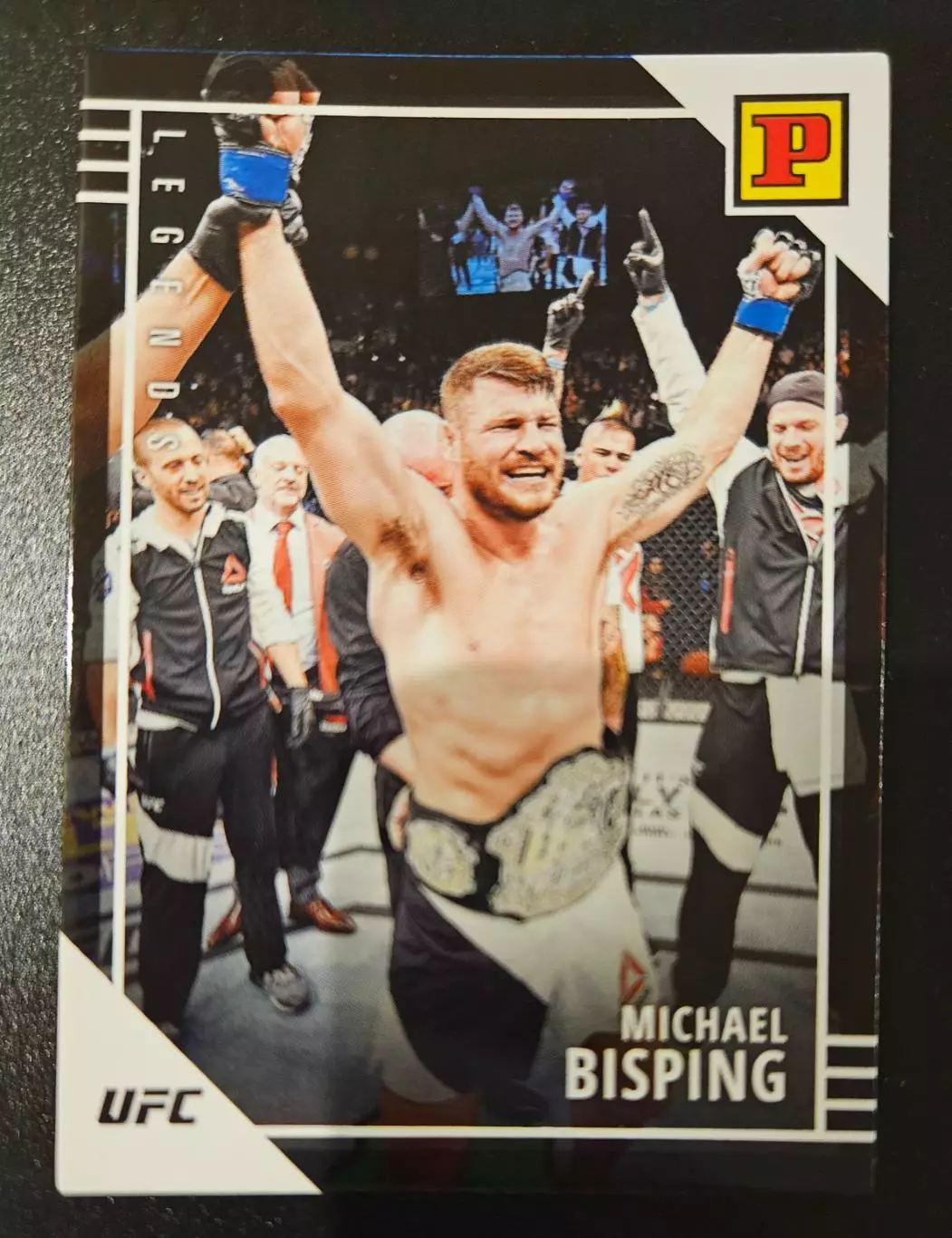 Michael Bisping ufc майкл биспинг