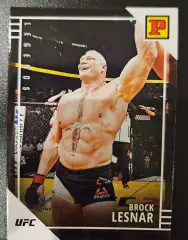 Brock lesnar ufc брок леснар