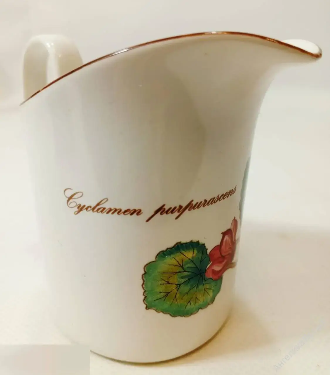 Botanica Villeroy Boch Ботаника молочник сливочник 5