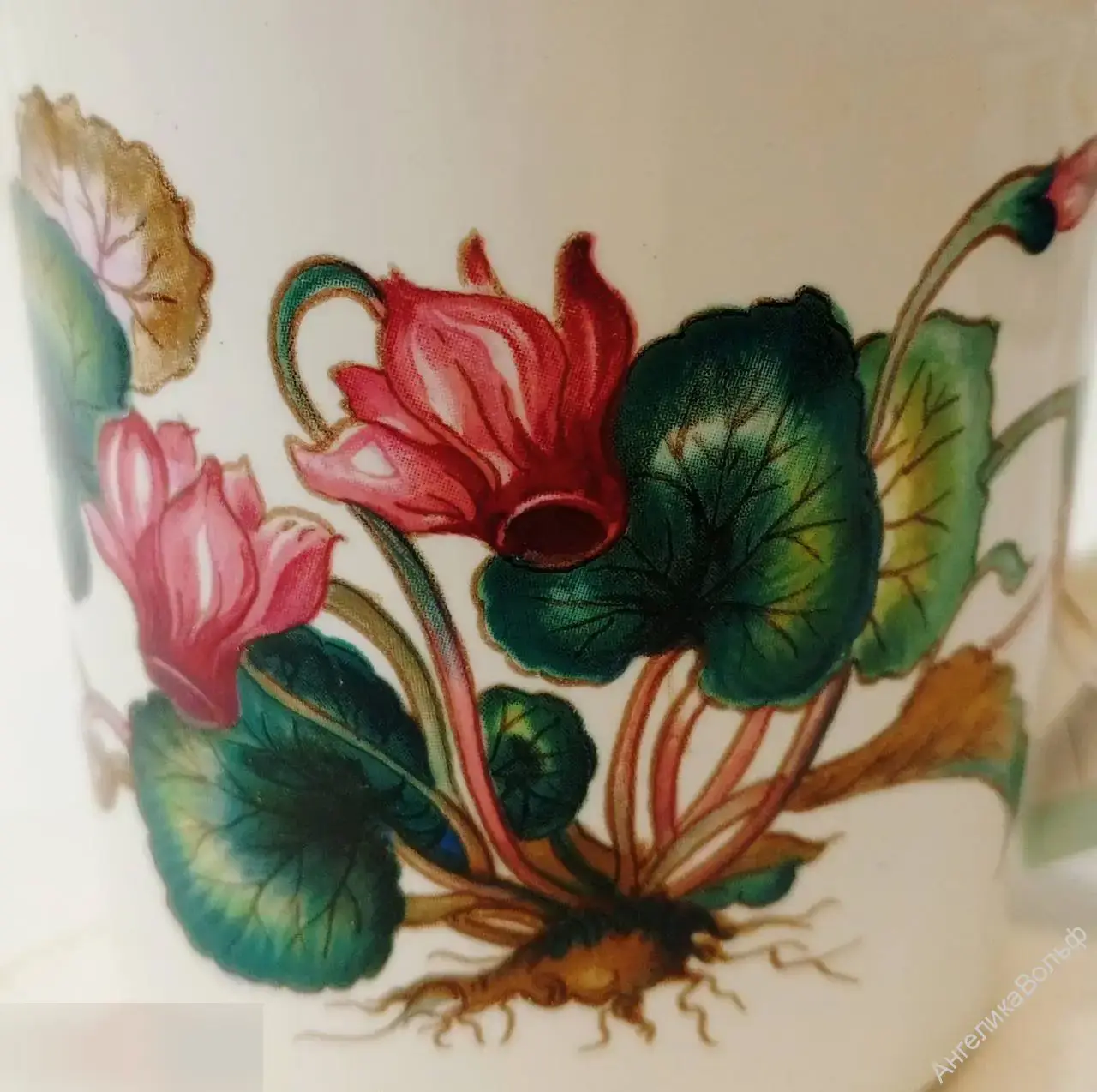 Botanica Villeroy Boch Ботаника молочник сливочник 6