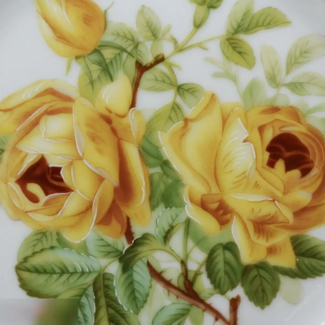 Limoges Haviland Франция тарелка розы фарфор 1