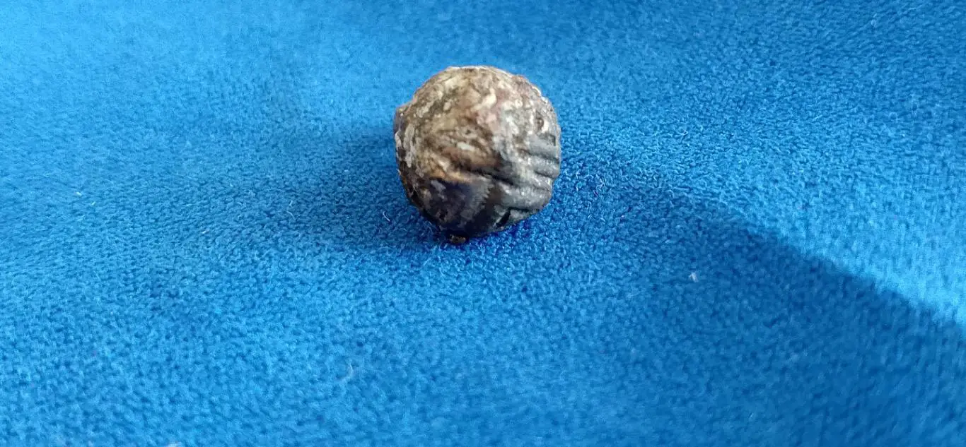 Пуговка гирька, пуговица с изображением Династия Цинь 2