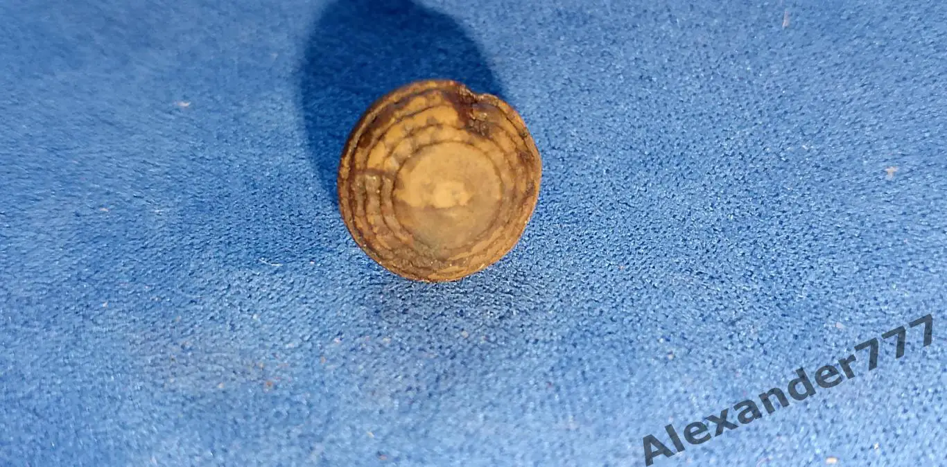 Пуговицы гирьки 2шт 3