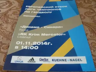 Динамо Волгоград - Крим Словения 2014
