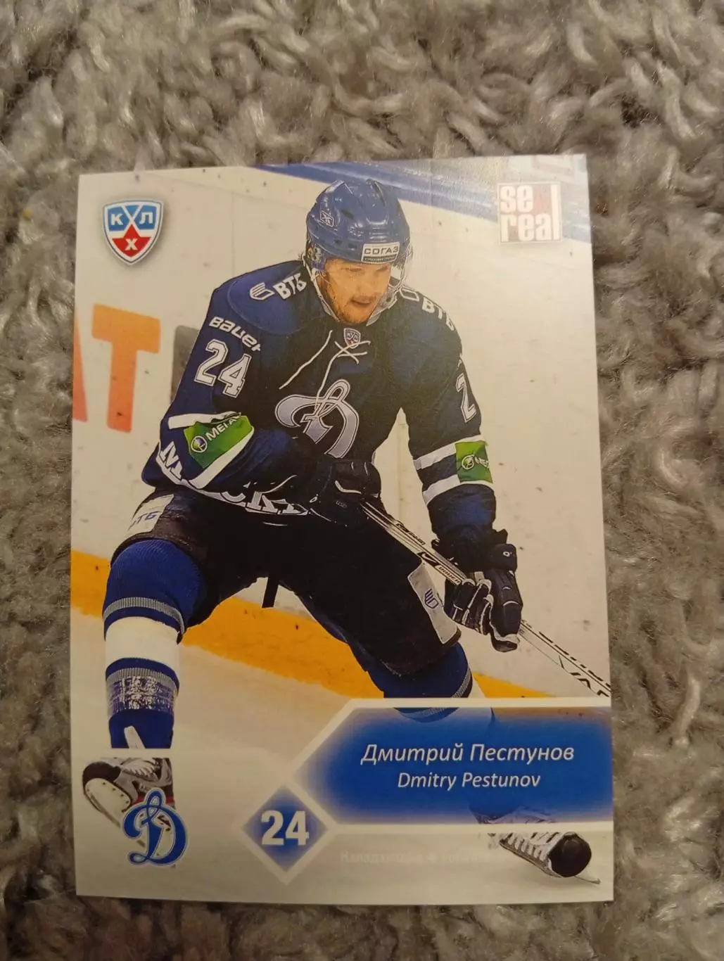 Дмитрий Пестунов