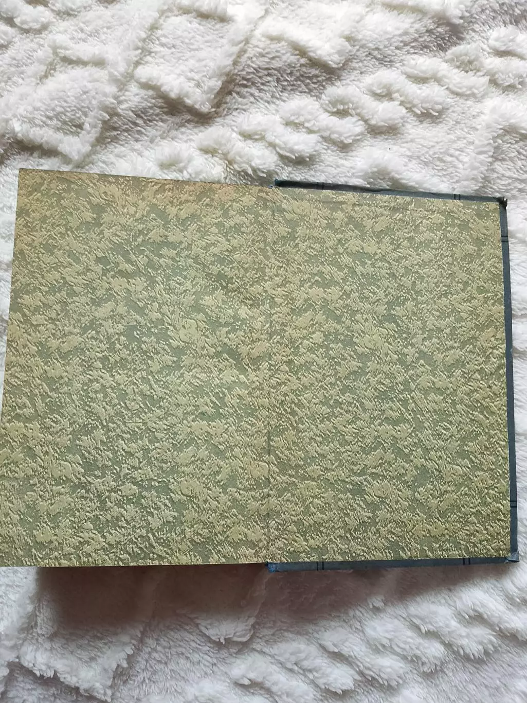 А. ОстровскийМолодой Толстой в записях современников 3