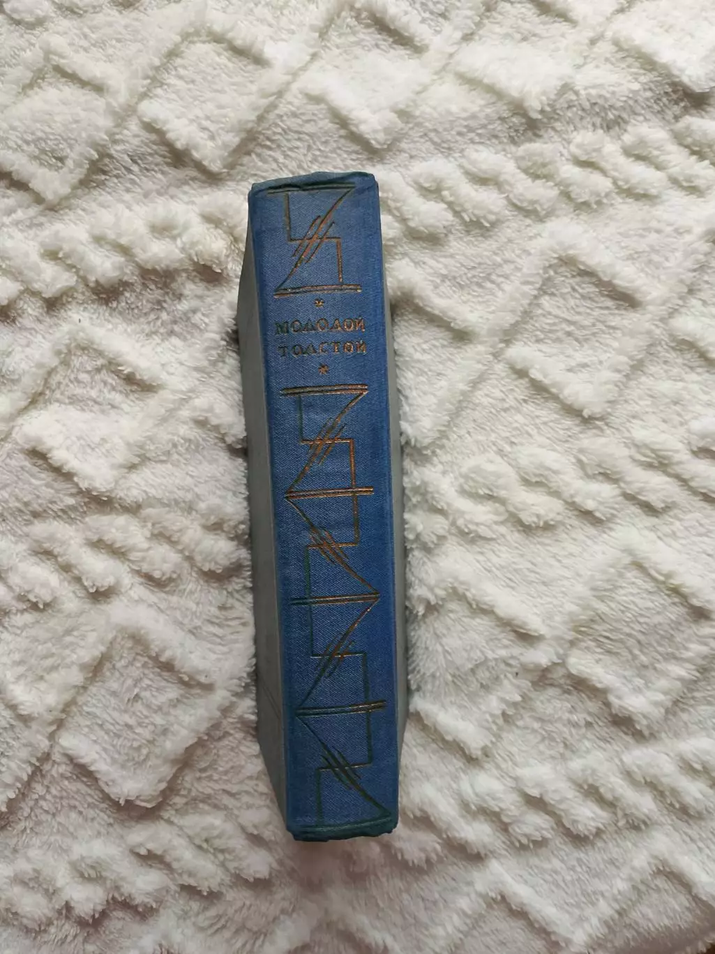 А. ОстровскийМолодой Толстой в записях современников 4