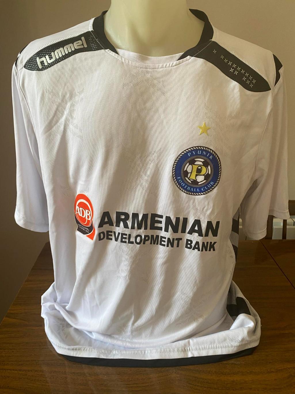 Официальная футбольная игровая майка ФК Пюник Армения, 2013-2014