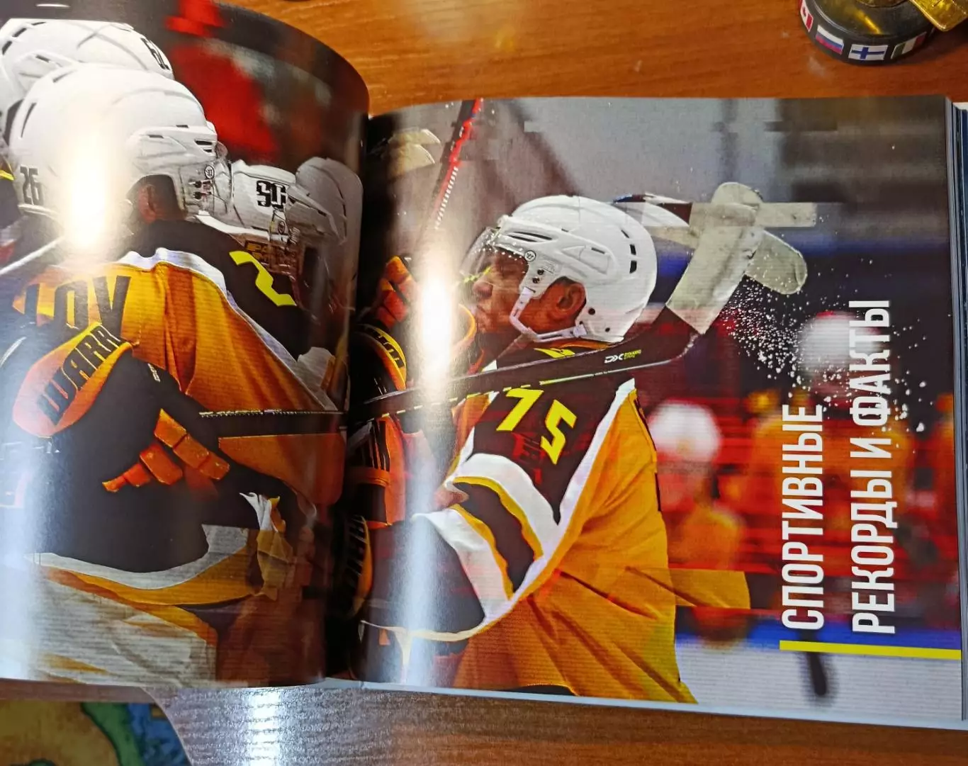 Книга хоккей 4