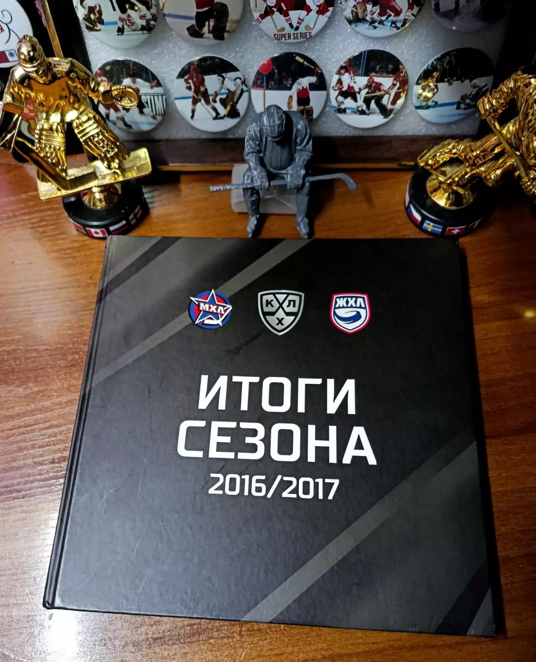 Итоги сезона 2016-17 г.