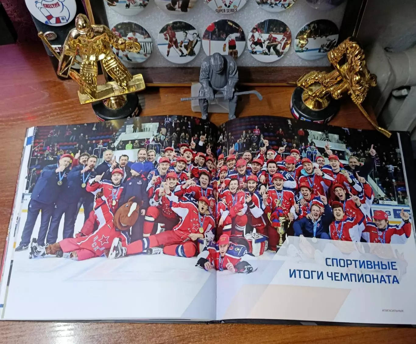Итоги сезона 2016-17 г. 3