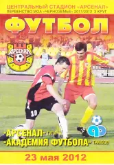 Арсенал (Тула) - Академия футбола (Тамбов) 23.05.2012