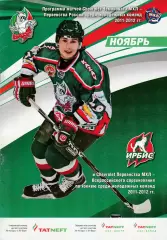 Барс (Казань) ноябрь 2011
