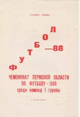 Березники 1988 (Чемпионат Пермской обл)