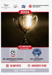 Металлург (Старый Оскол) - Аэрозоль (Новомосковск) 28.08.2024 Куб.России СФФ 1/2