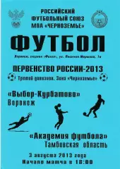 Выбор-Курбатово (Воронеж) - Академия футбола (Тамбов) 03.08.2013