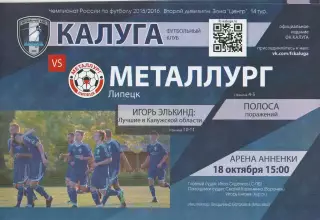 ФК Калуга - Металлург (Липецк) 18.10.2015