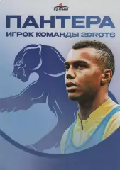 2DROTS Пантера