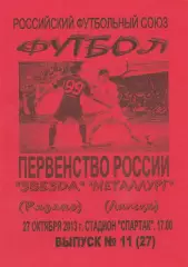 Звезда (Рязань) - Металлург (Липецк) 27.10.2013 Вид 2