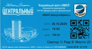 Билет МХК Калуга - Брянск 30.10.2025