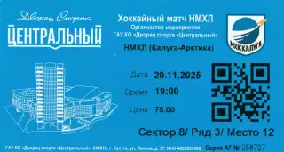 Билет МХК Калуга - Арктика (Мурманск) 20.11.2025