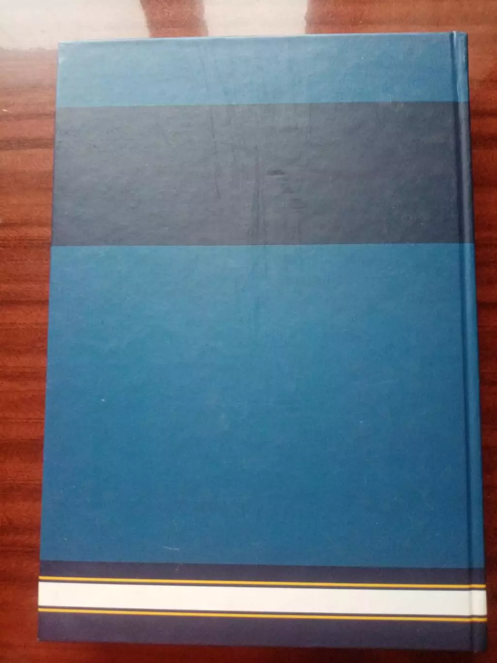 Автобиография монаха Парфения. 2009 год 1