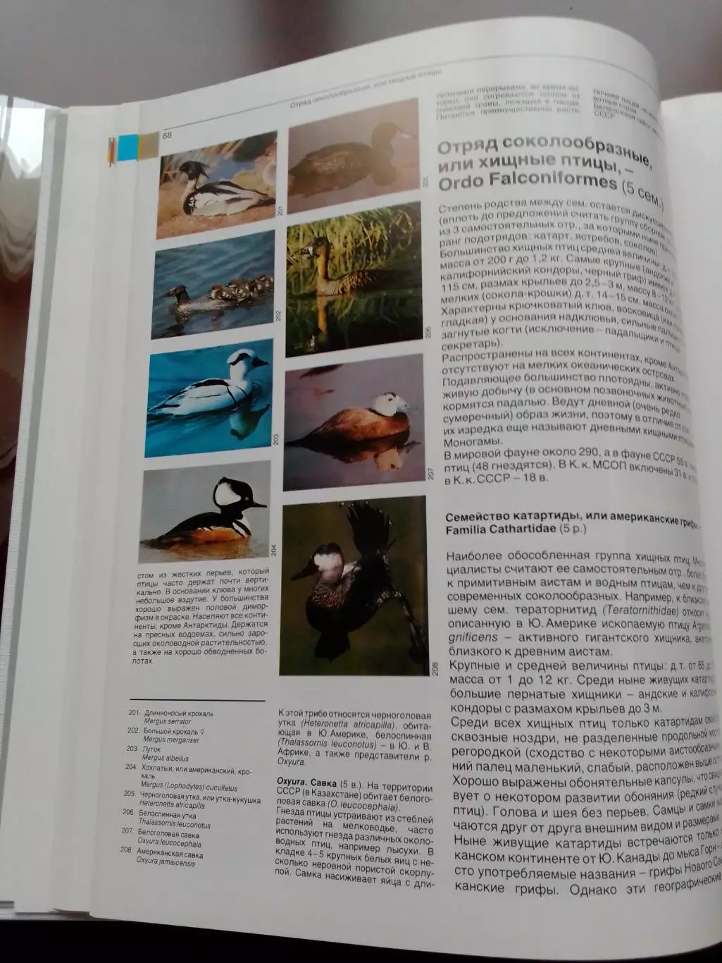Книга Фауна мира, Птицы 4