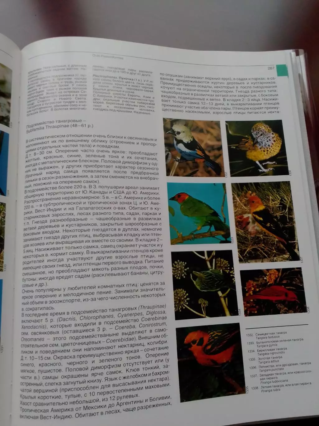 Книга Фауна мира, Птицы 5