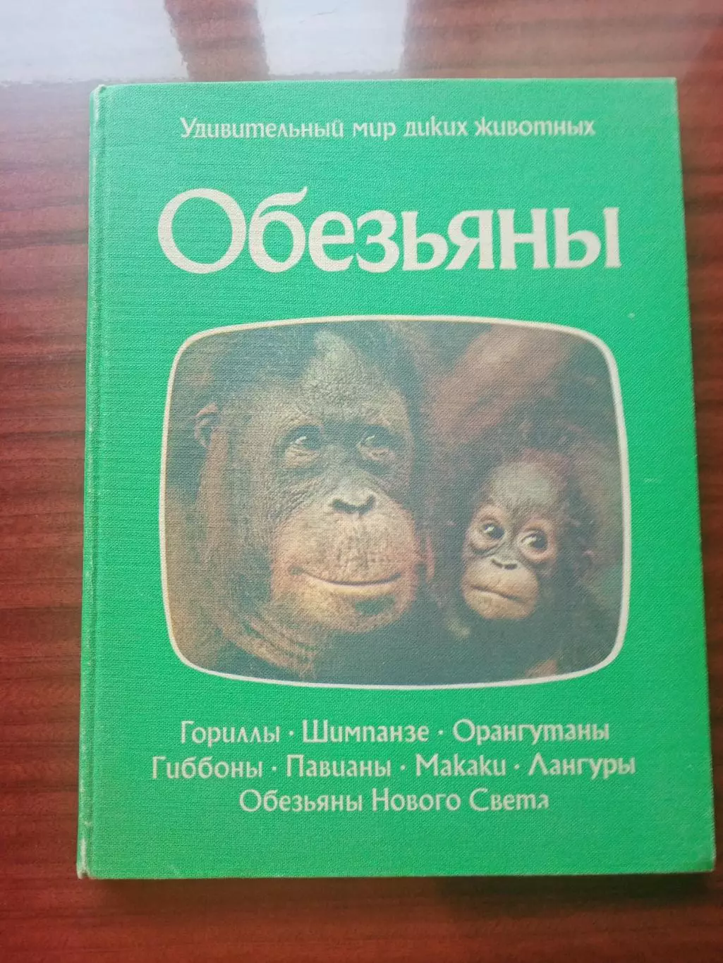 Пру Нейпье. Джон Нейпье. Обезьяны. 1984 год