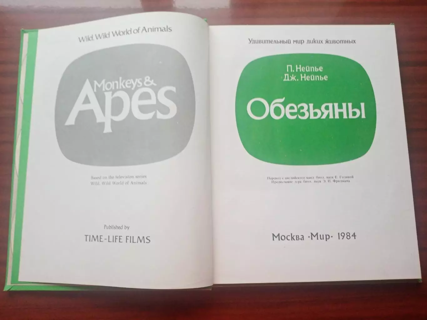 Пру Нейпье. Джон Нейпье. Обезьяны. 1984 год 1
