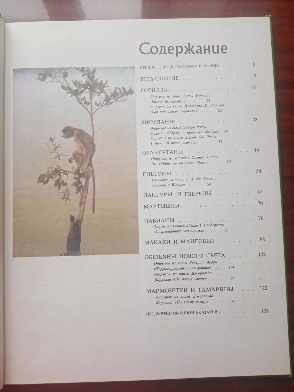 Пру Нейпье. Джон Нейпье. Обезьяны. 1984 год 3