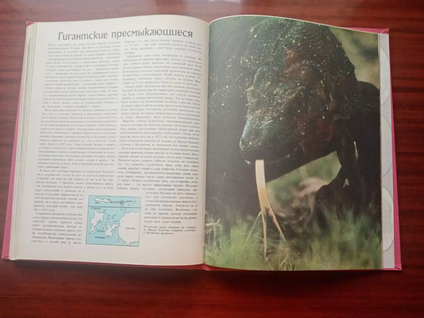 Пру Нейпье. Слоны и другие гиганты суши. 1983 год 7
